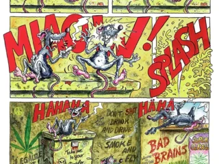 Comix & Cartoons