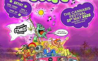 Farbenfroher Flyer zum Buds and Beats Cannabis Festival 2025 in Zürich mit Canna Comix Zone, Livemusik, Künstlern und Hanfkultur, Veranstaltung am 31. Mai 2025 in Halle 622.